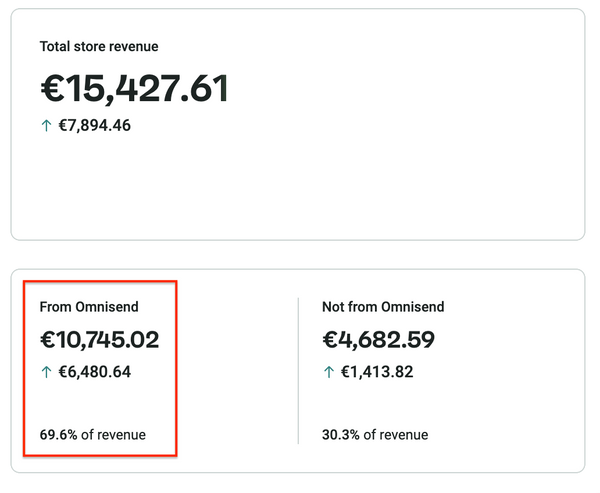 el. pasto rinkodaros rezultatai su omnisend